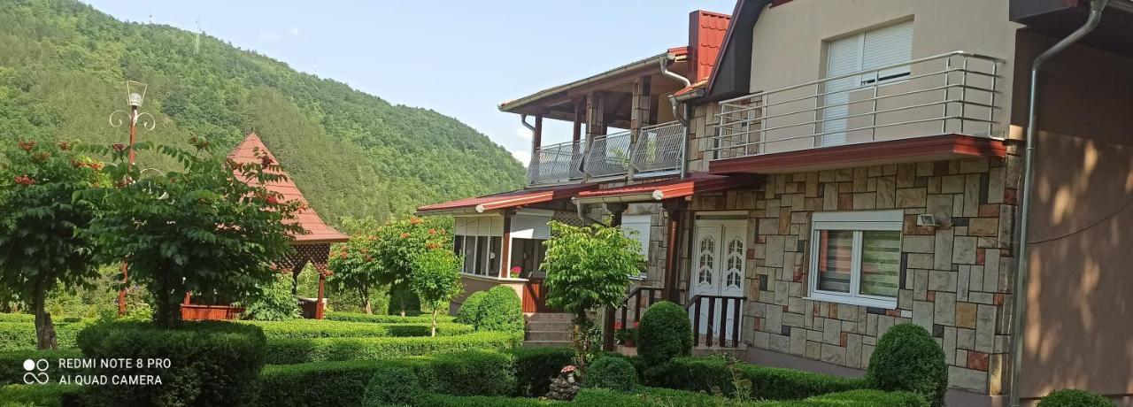 Guest House Vila Aleksa Bogutovac Exterior foto